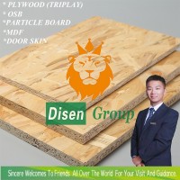 Ken -China Plywood OSB