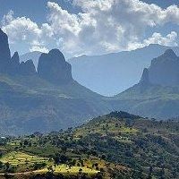 Berhan Assefa Gebri