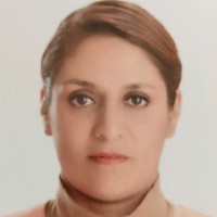 SANDRA VALERA CASTRO