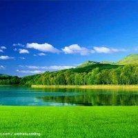 刘宏涛