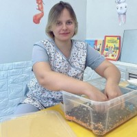 Елена Трапезникова