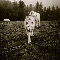 Angela Smith Rodriguez