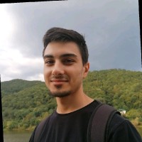 Alexandru - Alin Mircea