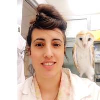 Hadar Beeri