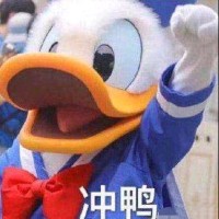 闫丽影