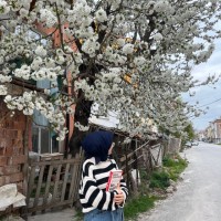 Elif k