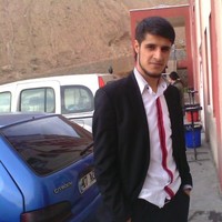 Nevzat Işın