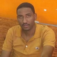 Abdelmoneim Alawad