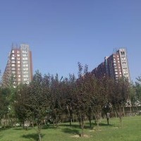 Yanxia Zheng