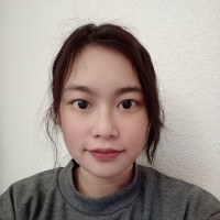 Nu Dieu Huong Tran