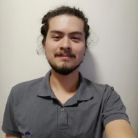 Rafael Zani Medina