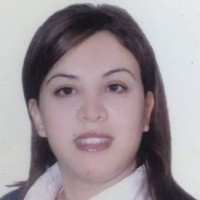 Sameh Abidi
