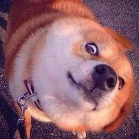 王顺心