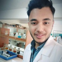Kunal Rosaili