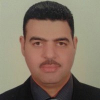 mohamed elshaaer