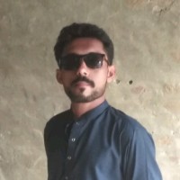 M. Zeeshan Anwar