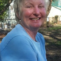 Meg Shields