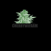 CHERRYWIFARM®- Best CBD flowers Europe