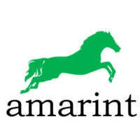 Amarint Consulting