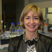 Karin Stana Kleinschek