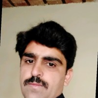 M Ghayoor Qaisrani Ghayoor