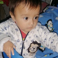 Wilmer Fabian Carvajal Cruz