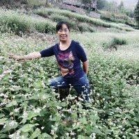 方的梦