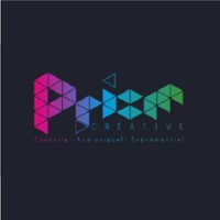 PRISM AGENCY PROJECT MANAGER