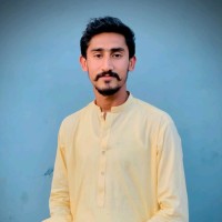Muhammad Adeel