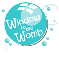 Window To The Womb Ltd