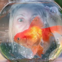 Kelly Rowden