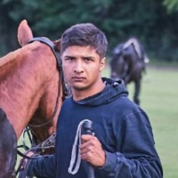 David Josue Fernandes