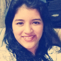 Sandy Vanessa Vilca Perez