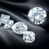 jose mayordomo nieves