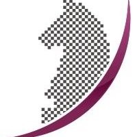 Gambit Communications Inc.