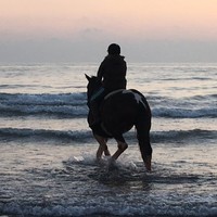 Dawn Sylvester Assoc CIPD