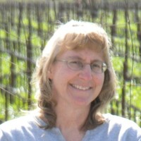 Donna Romeo, Mlis