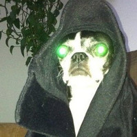 Aspargen Shrodinger