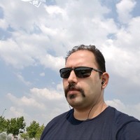 Mohsen N