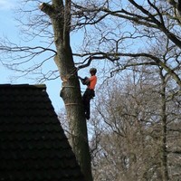 Tijs Van Der Velden