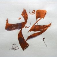 Mohammed Amer