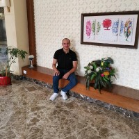 Wael Elhadad