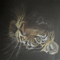 Jo-ann Harrison