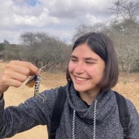 Kateryna Kolesnykova