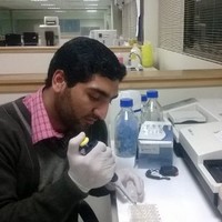 Dr. Abdul Majid Tajik
