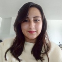 Michell Pintor Gutierrez