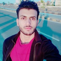 Ashraf Arafa