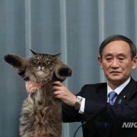 周伟豪
