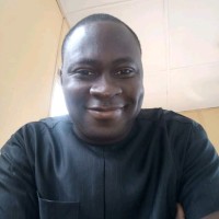 Seun B Ogunsona