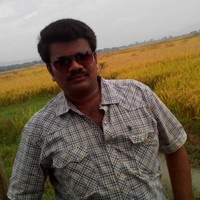 Vamsi Krishna Mandava
